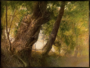 Wash Hill (gum bichromate with added watercolours)